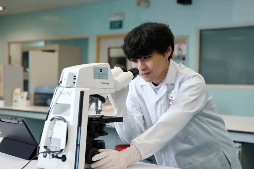 新加坡理工学院 自然科学课程方向